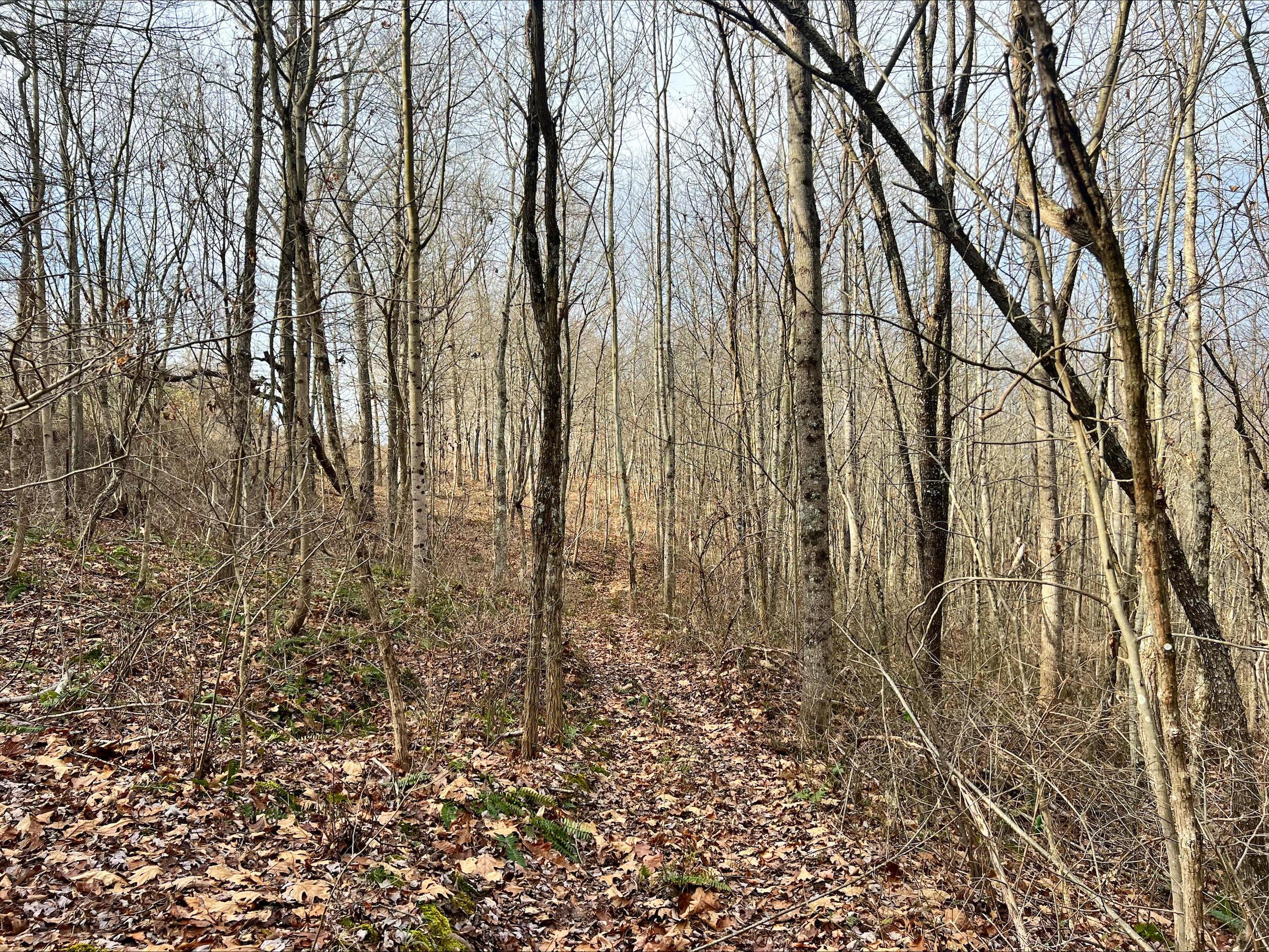 0 Beaver Pike Property Photo 29