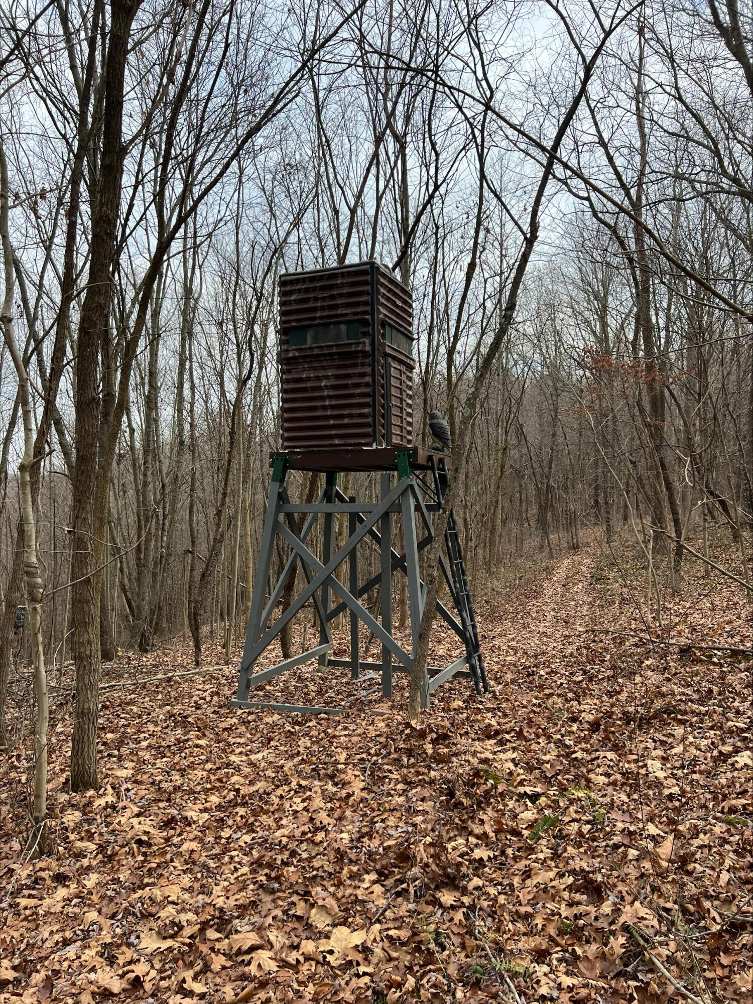 0 Beaver Pike Property Photo 31