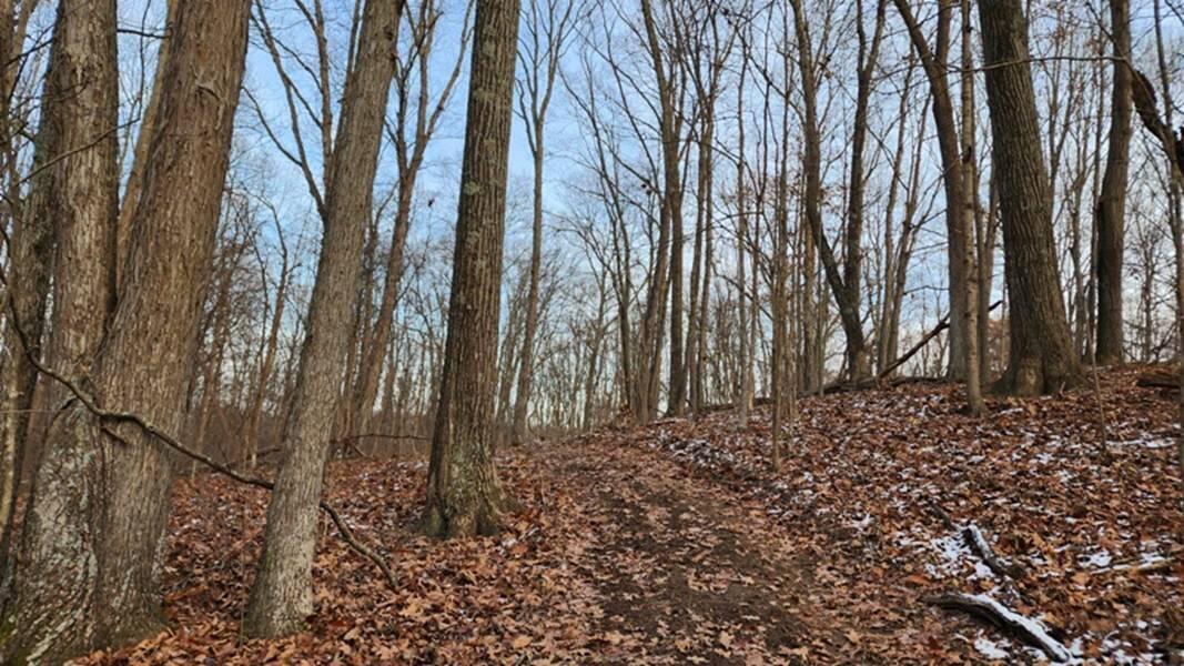 0 Red Hill Road, (15 Acres At Big Timber) Property Photo 2