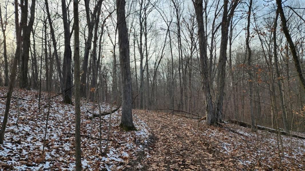 0 Red Hill Road, (15 Acres At Big Timber) Property Photo 3