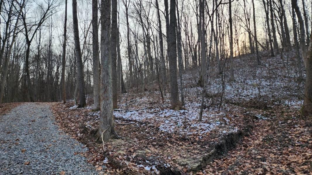 0 Red Hill Road, (15 Acres At Big Timber) Property Photo 6