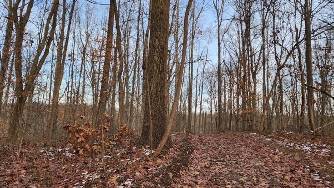 0 Red Hill Road, (15 Acres At Big Timber) Property Photo 8