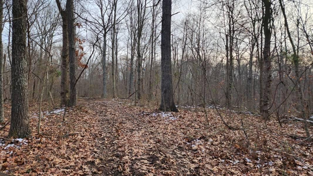 0 Red Hill Road, (15 Acres At Big Timber) Property Photo 9