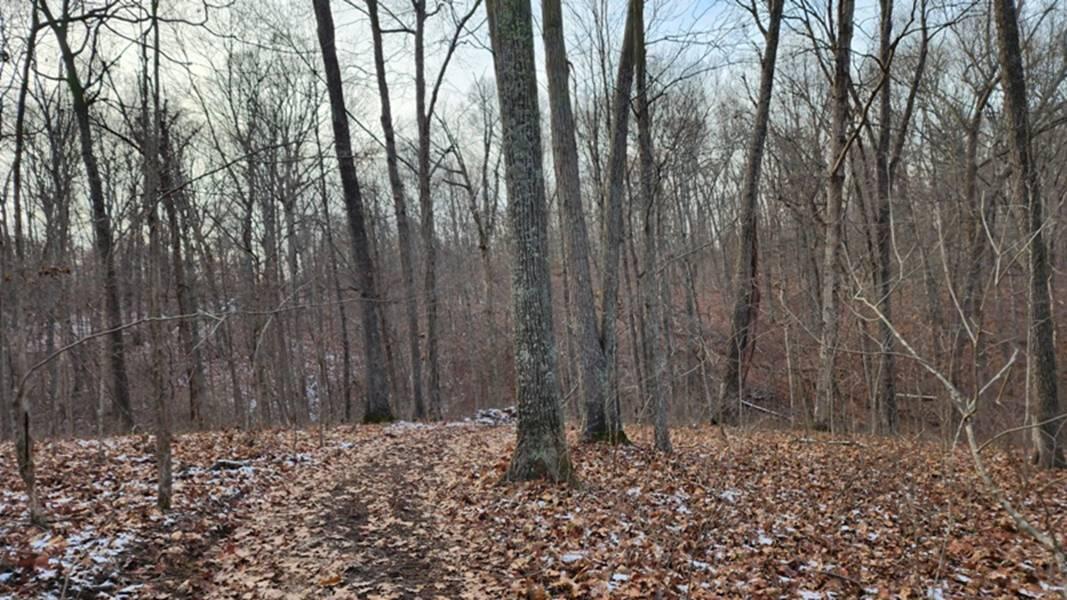 0 Red Hill Road, (15 Acres At Big Timber) Property Photo 10