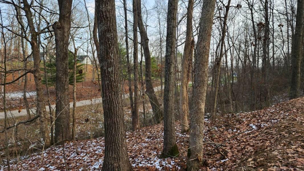 0 Red Hill Road, (15 Acres At Big Timber) Property Photo 12
