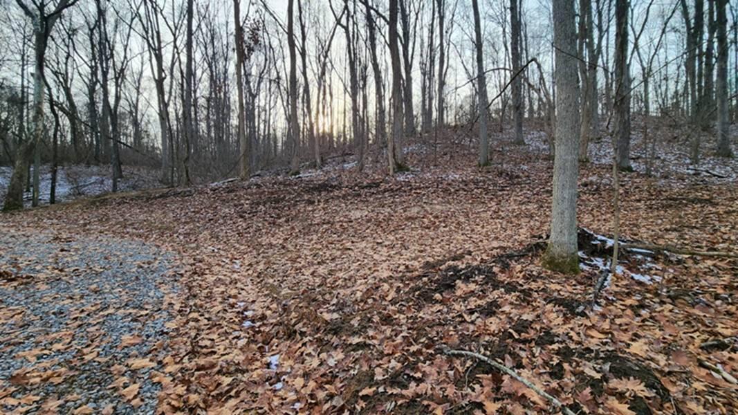 0 Red Hill Road, (15 Acres At Big Timber) Property Photo 14