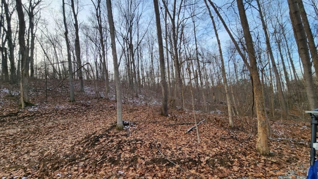 0 Red Hill Road, (15 Acres At Big Timber) Property Photo 15