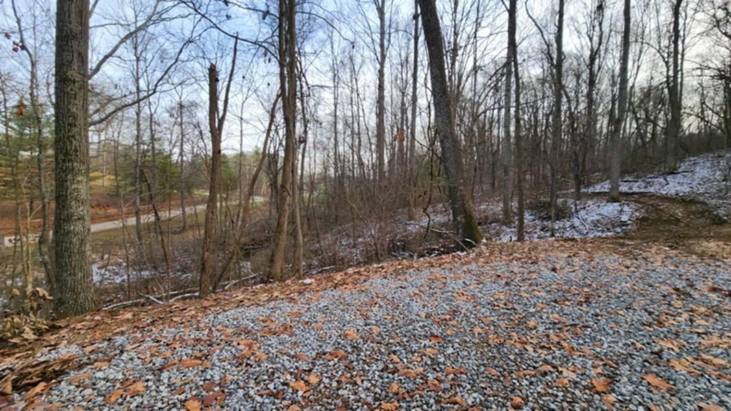 0 Red Hill Road, (15 Acres At Big Timber) Property Photo 16