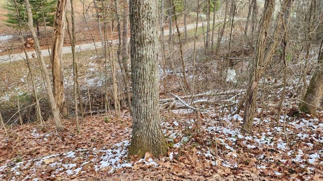 0 Red Hill Road, (15 Acres At Big Timber) Property Photo 17