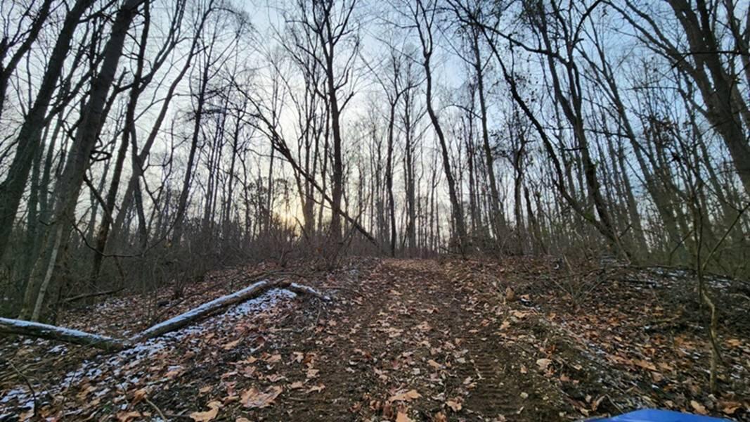 0 Red Hill Road, (15 Acres At Big Timber) Property Photo 19
