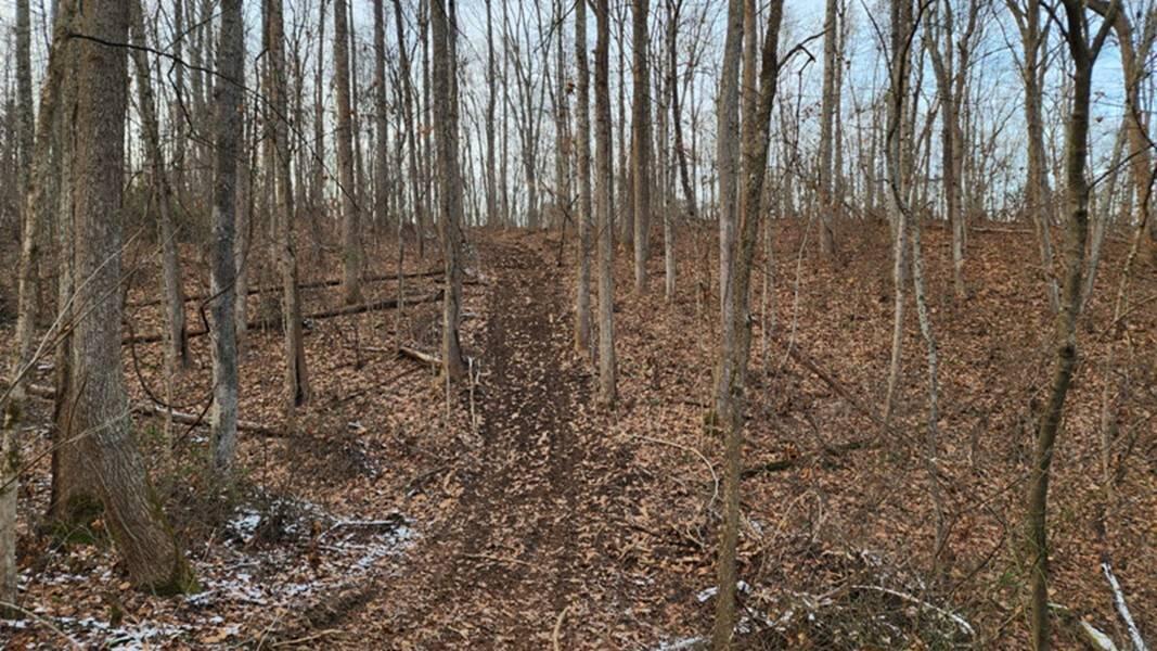 0 Red Hill Road, (15 Acres At Big Timber) Property Photo 20