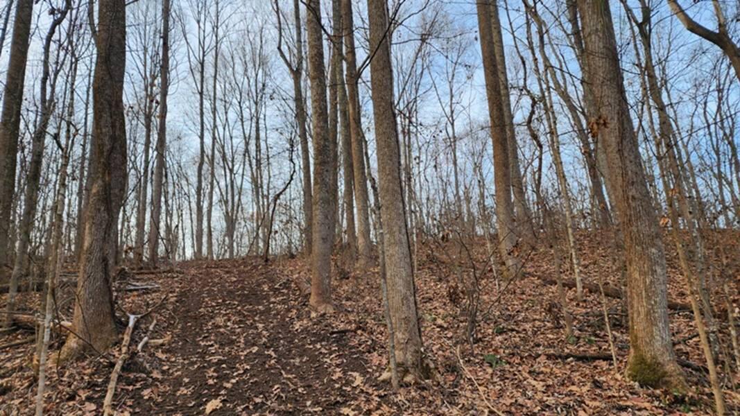 0 Red Hill Road, (15 Acres At Big Timber) Property Photo 21
