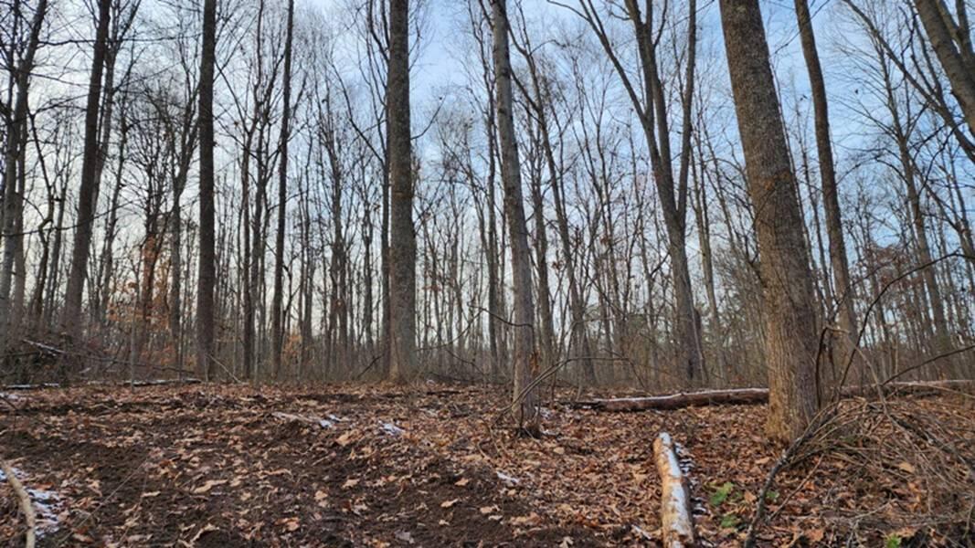 0 Red Hill Road, (15 Acres At Big Timber) Property Photo 22