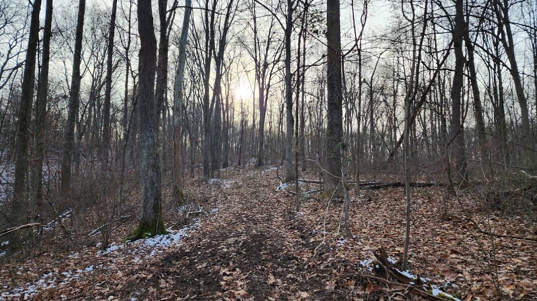 0 Red Hill Road, (15 Acres At Big Timber) Property Photo 23