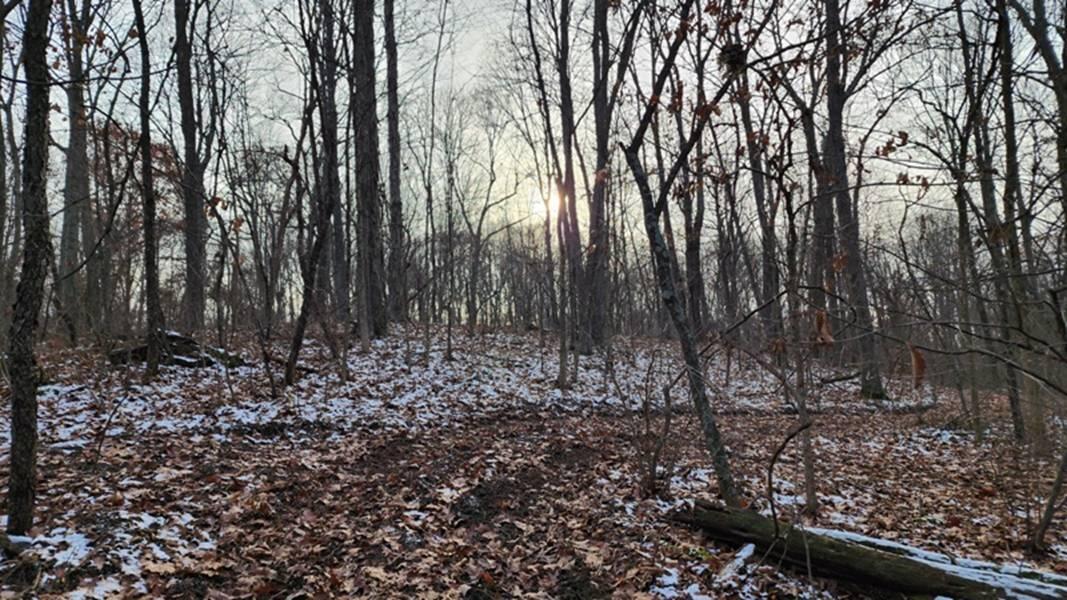 0 Red Hill Road, (15 Acres At Big Timber) Property Photo 24