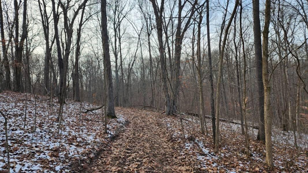 0 Red Hill Road, (15 Acres At Big Timber) Property Photo 25