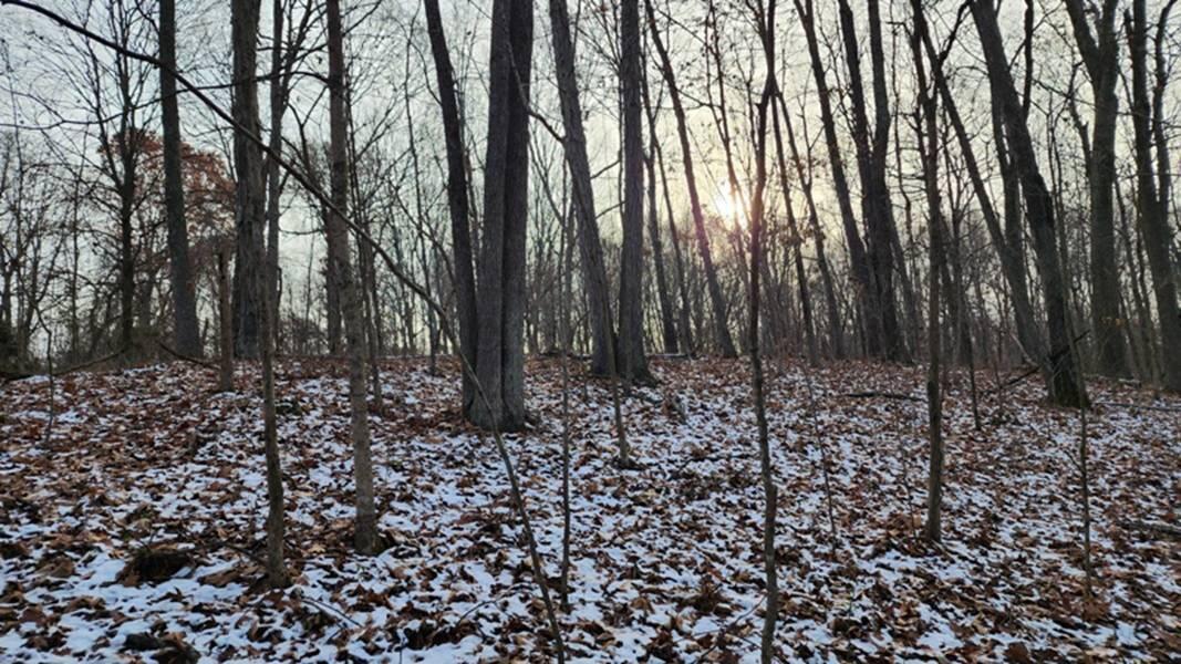 0 Red Hill Road, (15 Acres At Big Timber) Property Photo 26