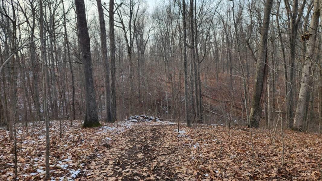 0 Red Hill Road, (15 Acres At Big Timber) Property Photo 28