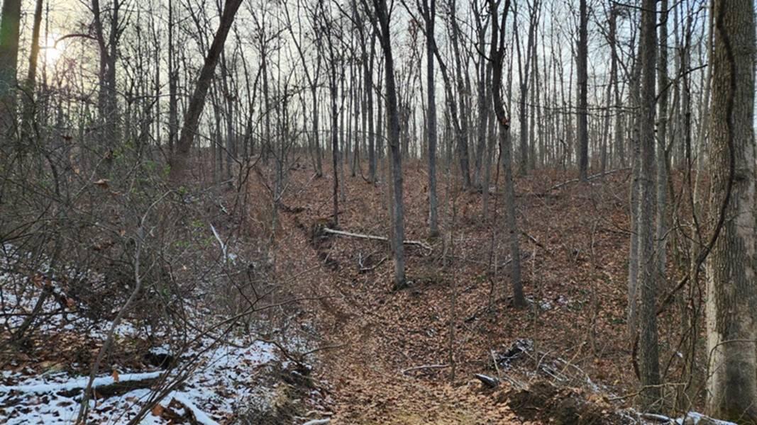 0 Red Hill Road, (15 Acres At Big Timber) Property Photo 30