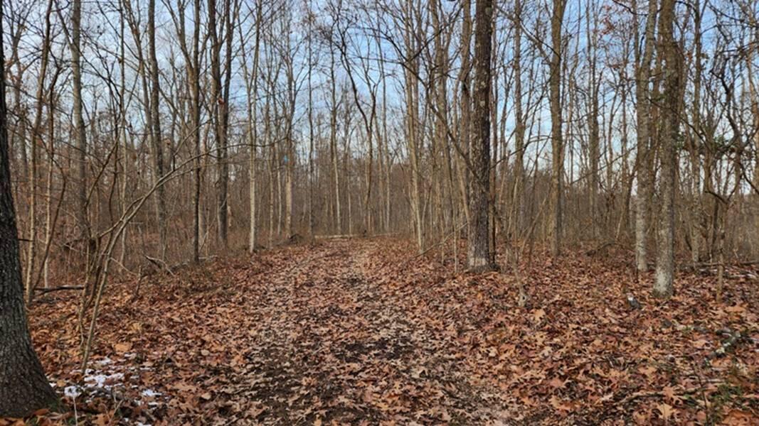 0 Red Hill Road, (15 Acres At Big Timber) Property Photo 32