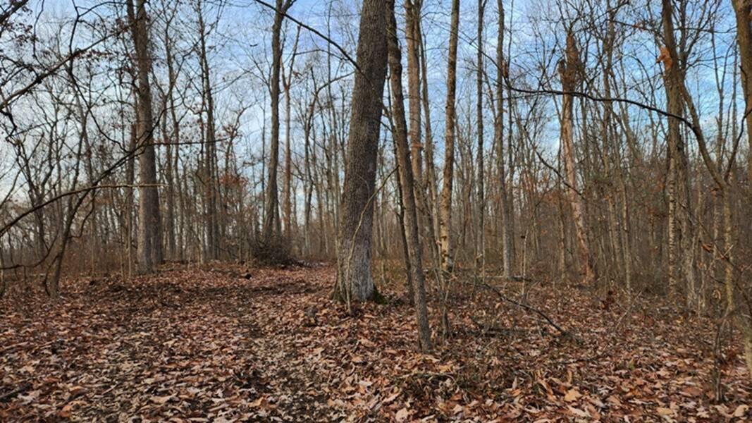 0 Red Hill Road, (15 Acres At Big Timber) Property Photo 33