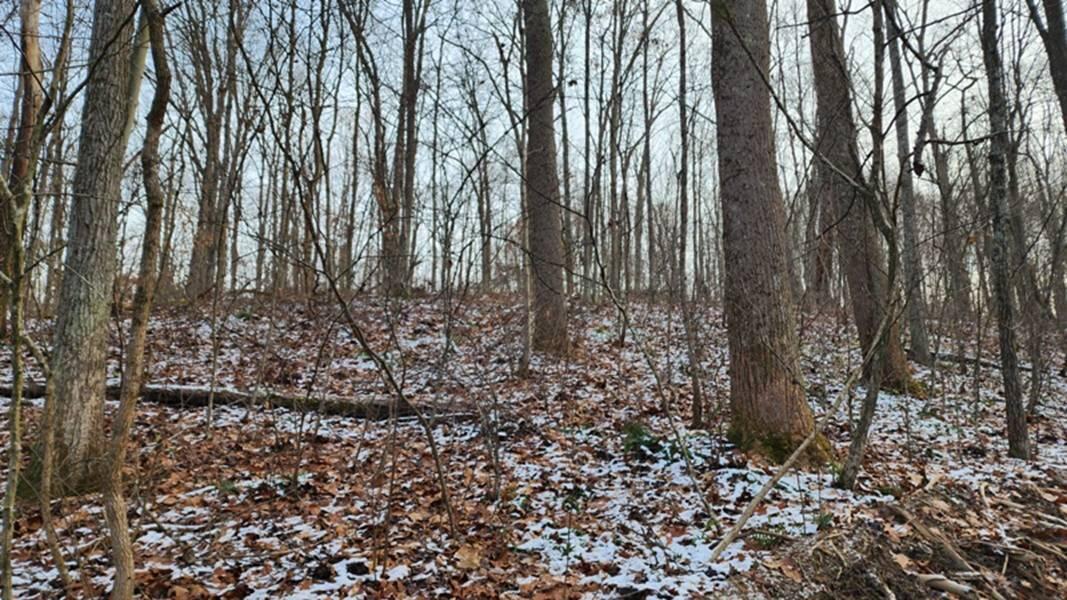 0 Red Hill Road, (15 Acres At Big Timber) Property Photo 35