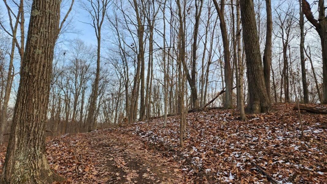 0 Red Hill Road, (15 Acres At Big Timber) Property Photo 37