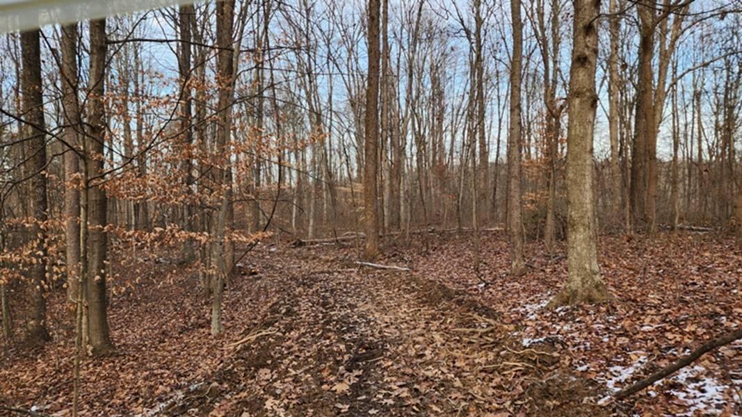 0 Red Hill Road, (15 Acres At Big Timber) Property Photo 38