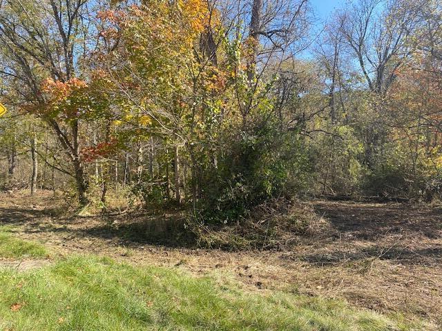 0 State Route 93 N Property Photo 10