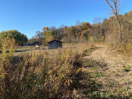10079 St Rt 93 N Property Photo 17
