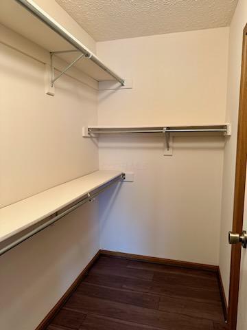 2628 Trotterslane Drive, 10 Property Photo 9