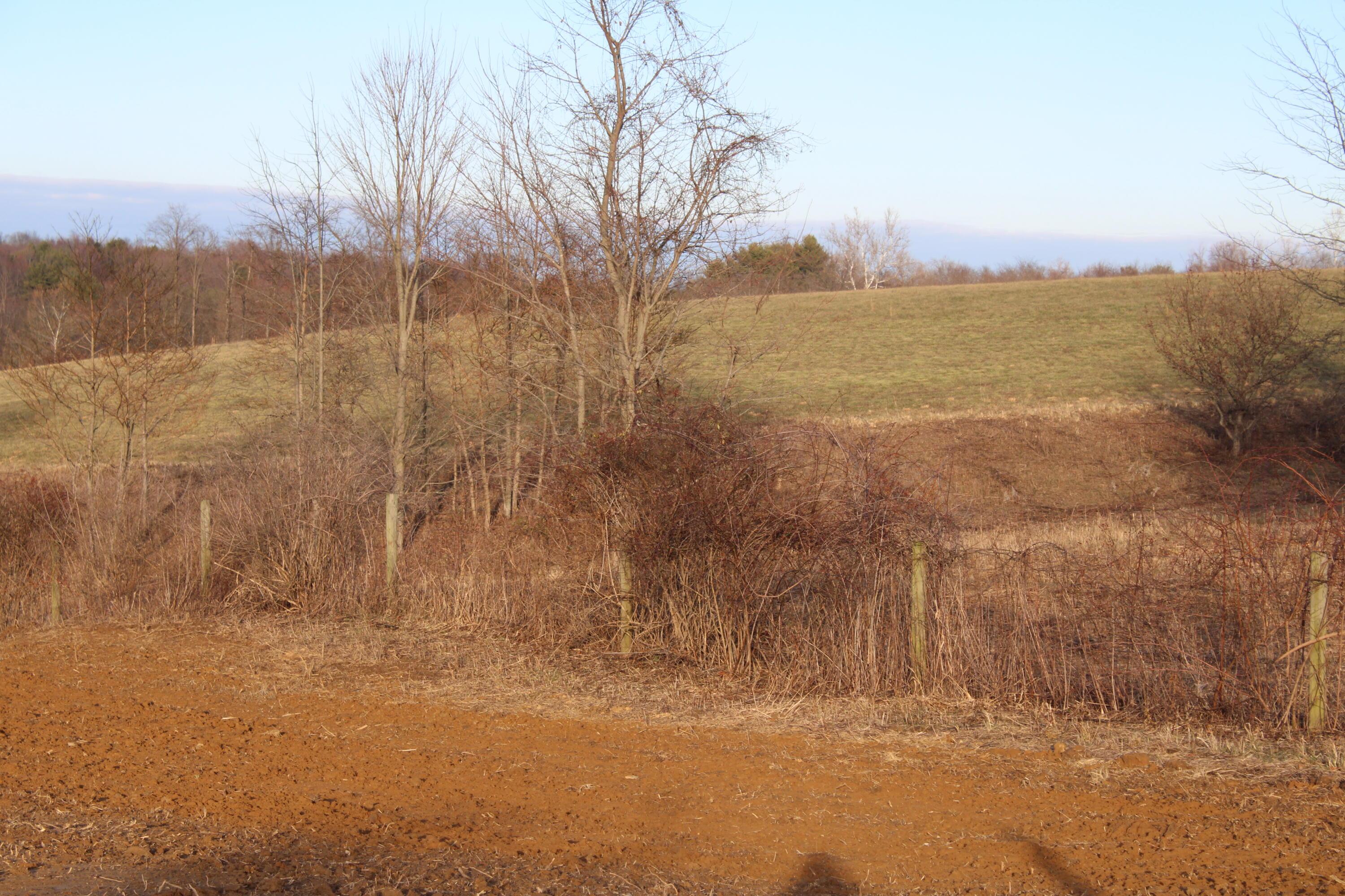 6404 Co Rd 52 Property Photo 10