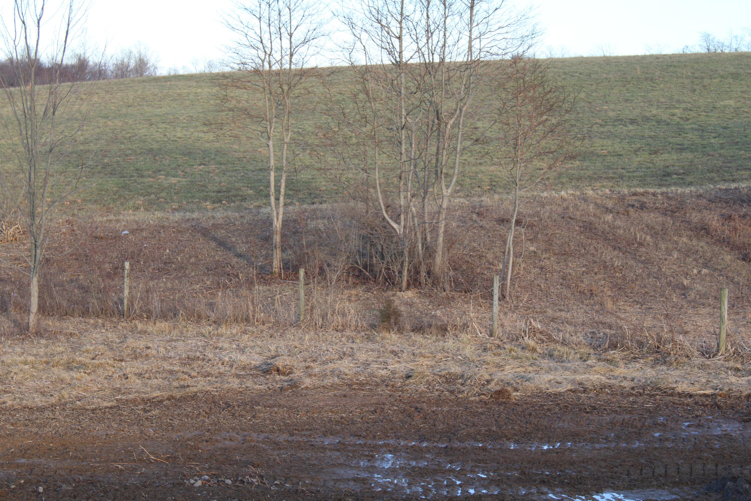 6404 Co Rd 52 Property Photo 16