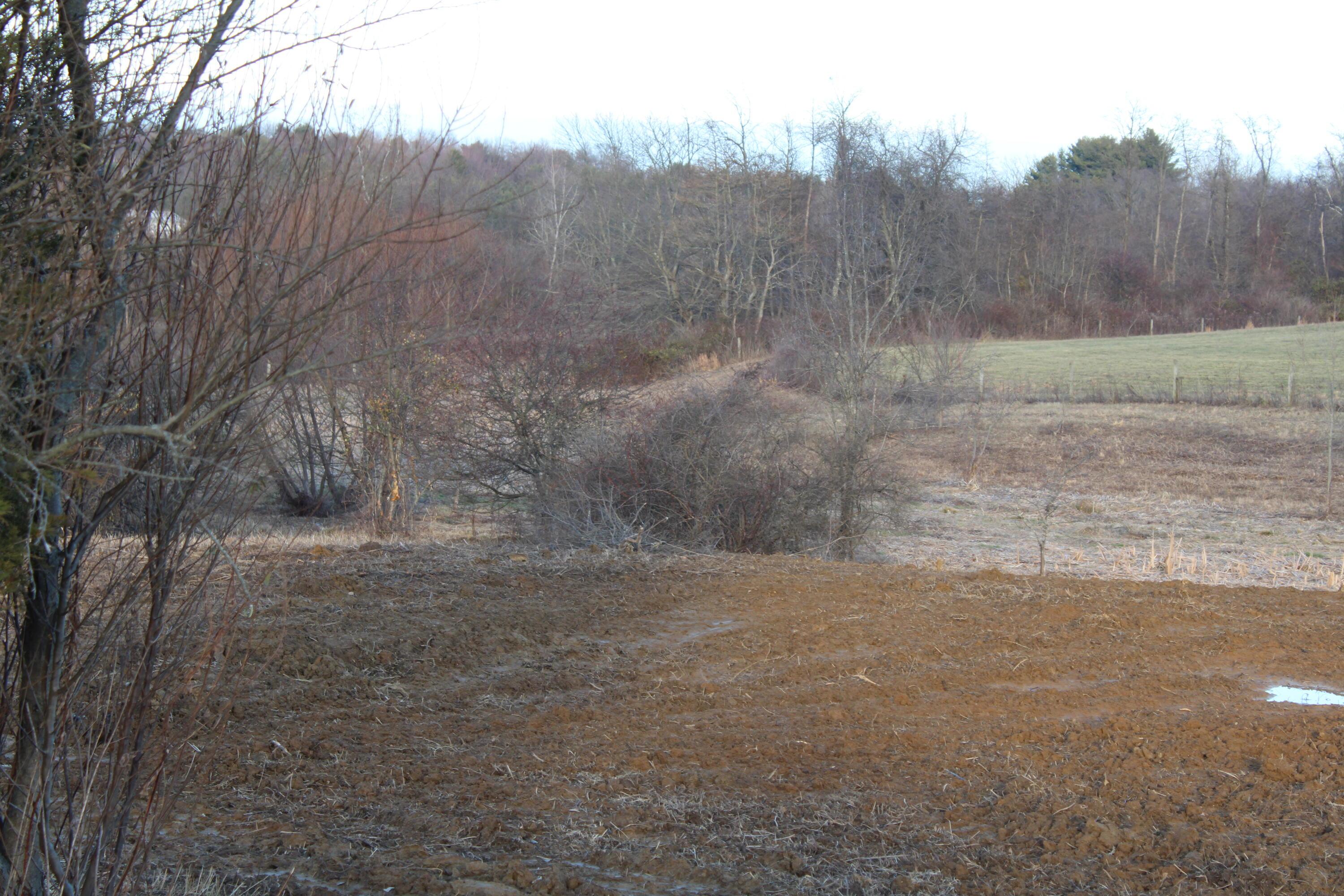 6404 Co Rd 52 Property Photo 21