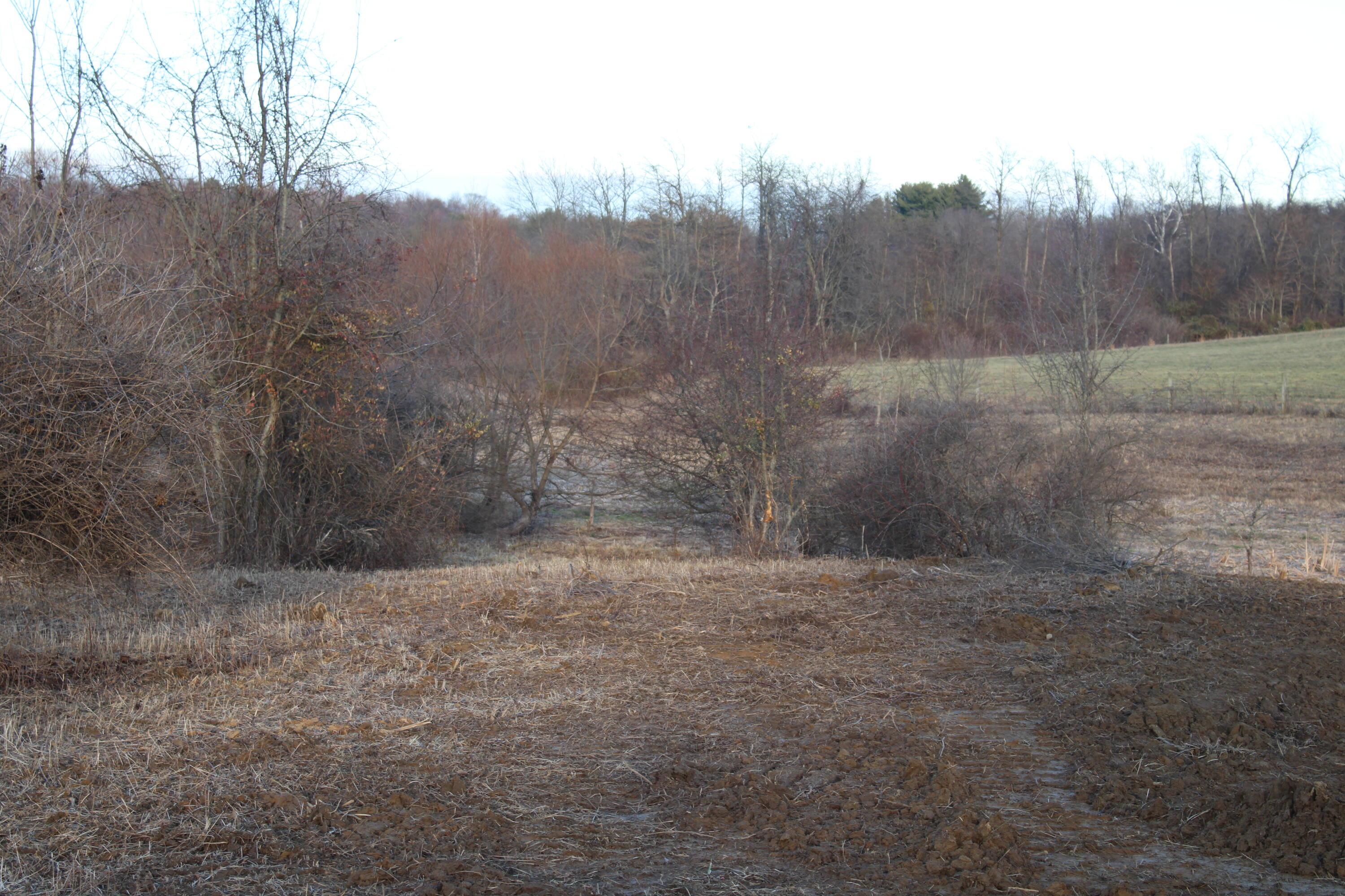 6404 Co Rd 52 Property Photo 28