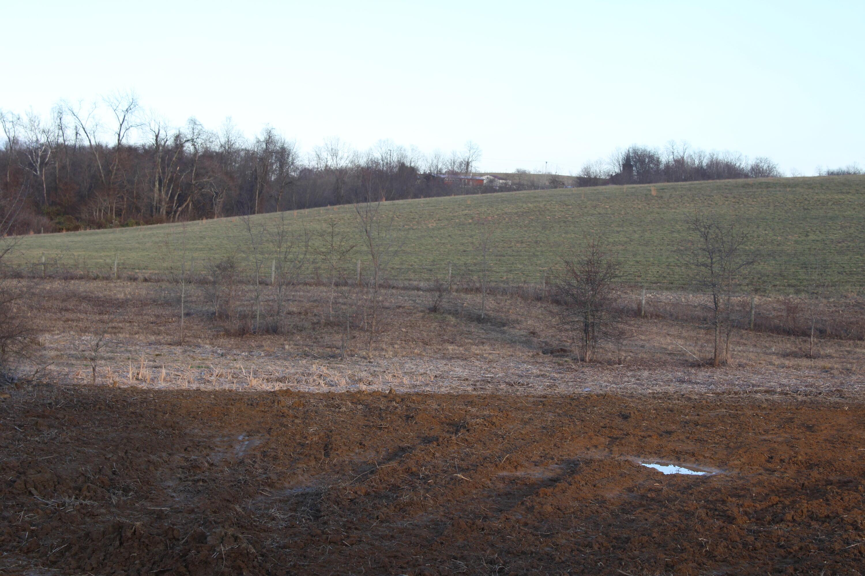 6404 Co Rd 52 Property Photo 29