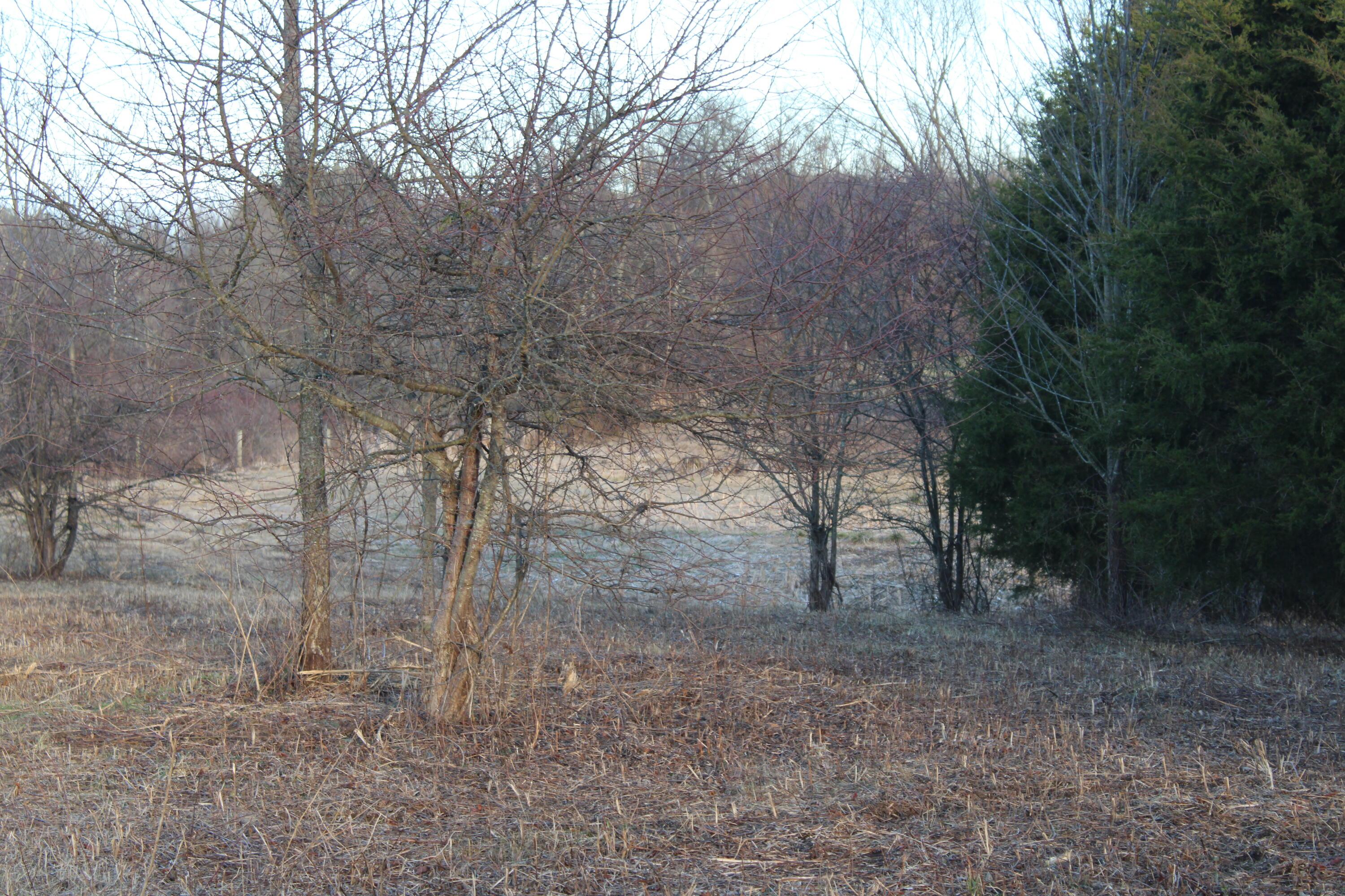 6404 Co Rd 52 Property Photo 31