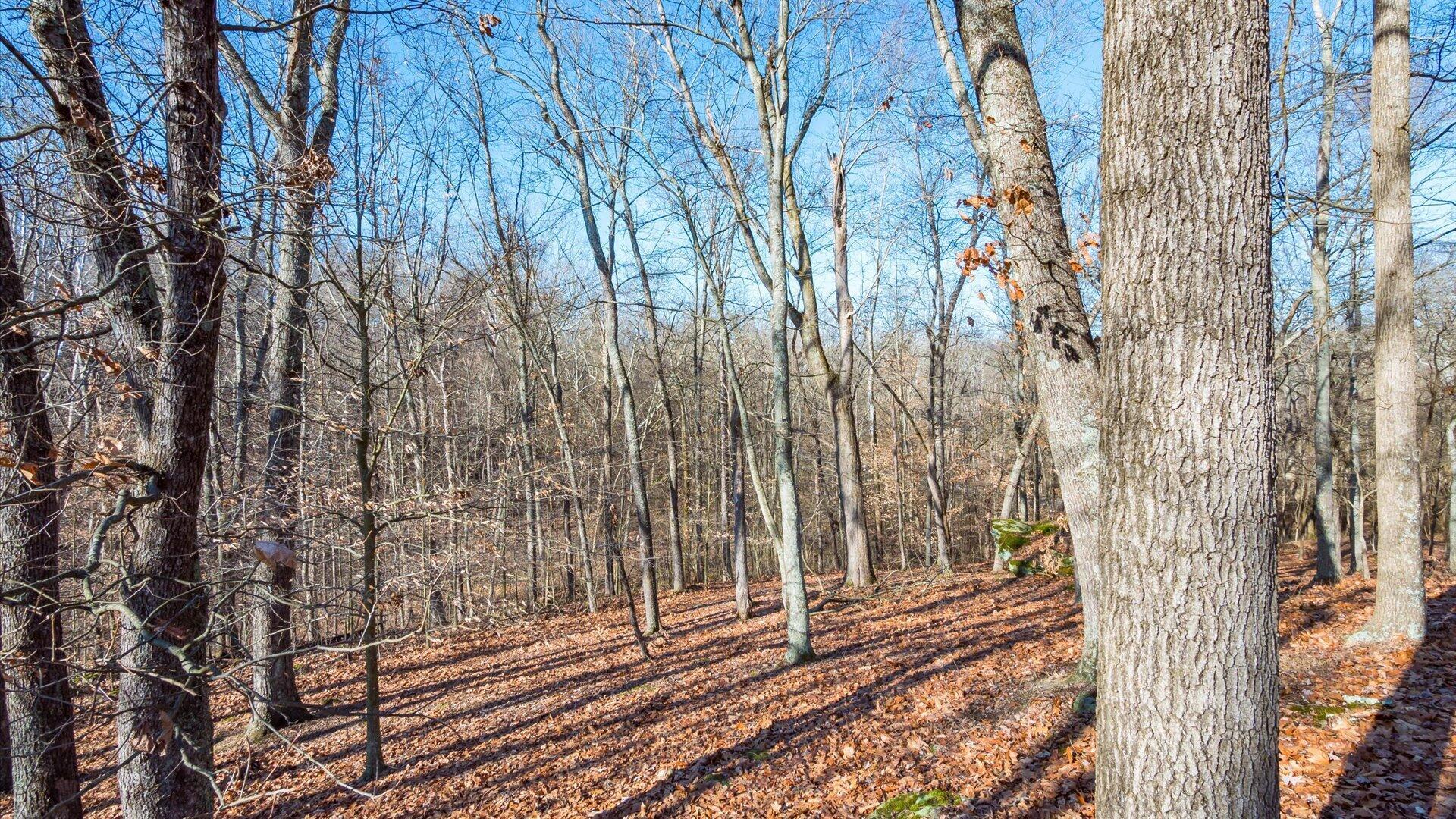 18988 Claypool Road Property Photo 43