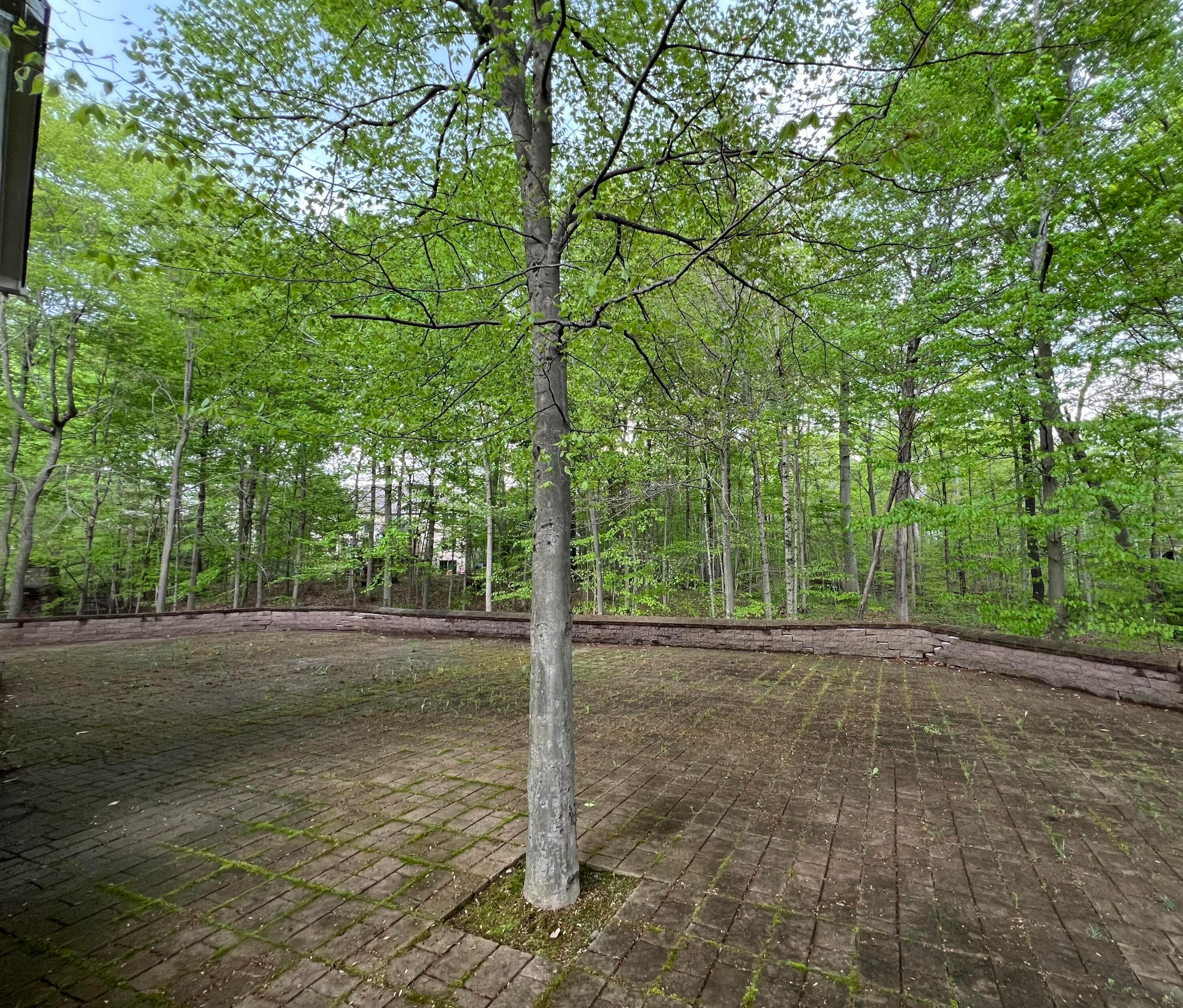 5194 Augusta Drive Property Photo 4