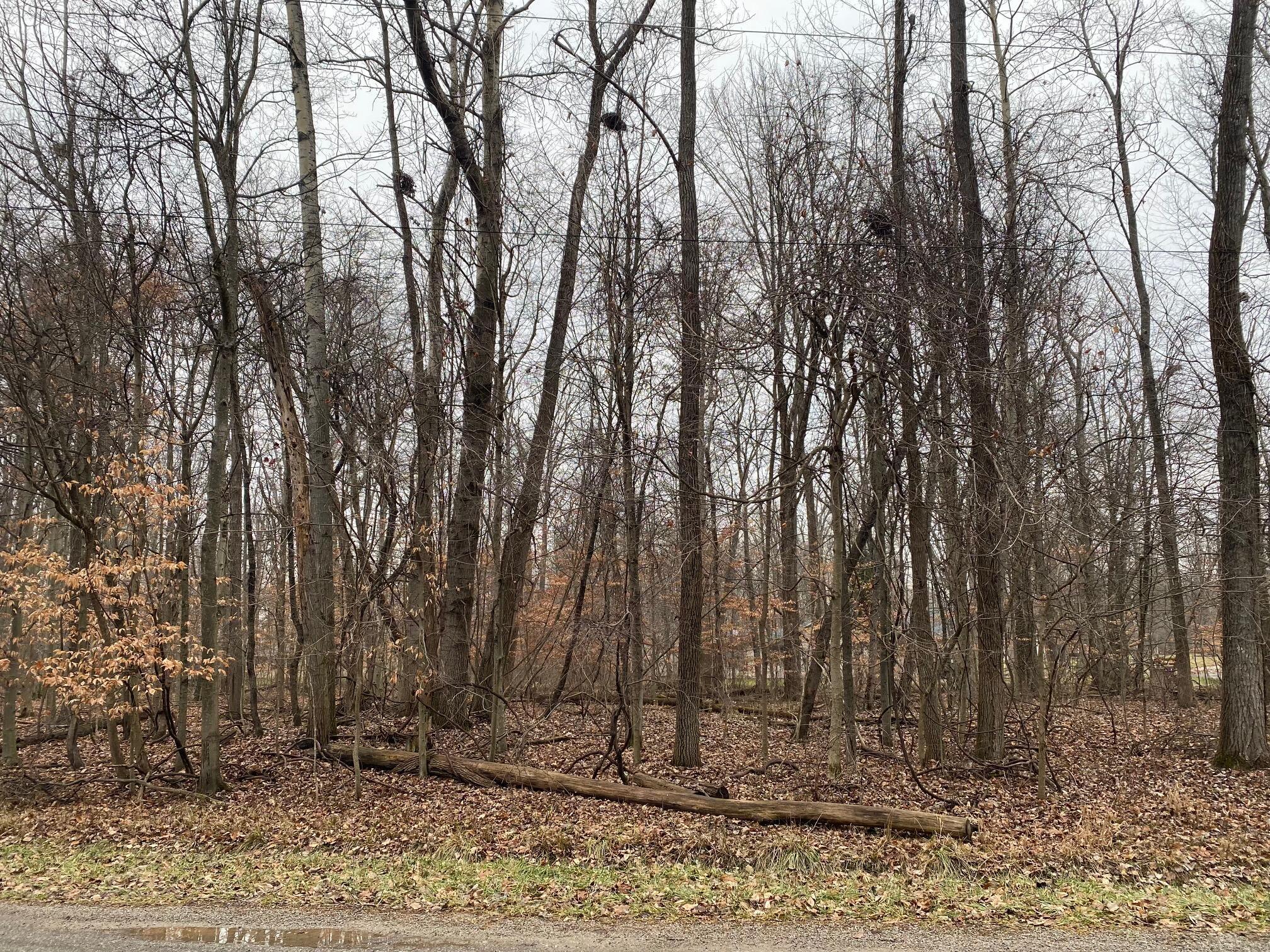 7326 State Route 19, Unit 9 Property Photo