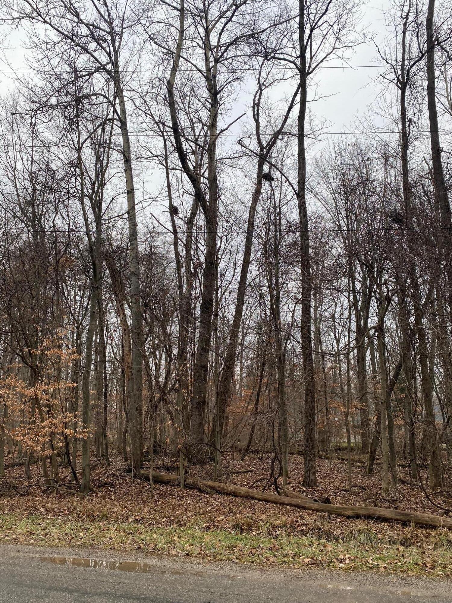 7326 State Route 19, Unit 9 Property Photo 2