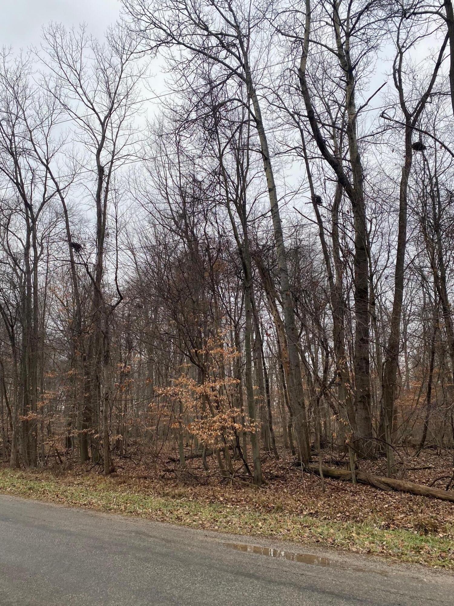 7326 State Route 19, Unit 9 Property Photo 3