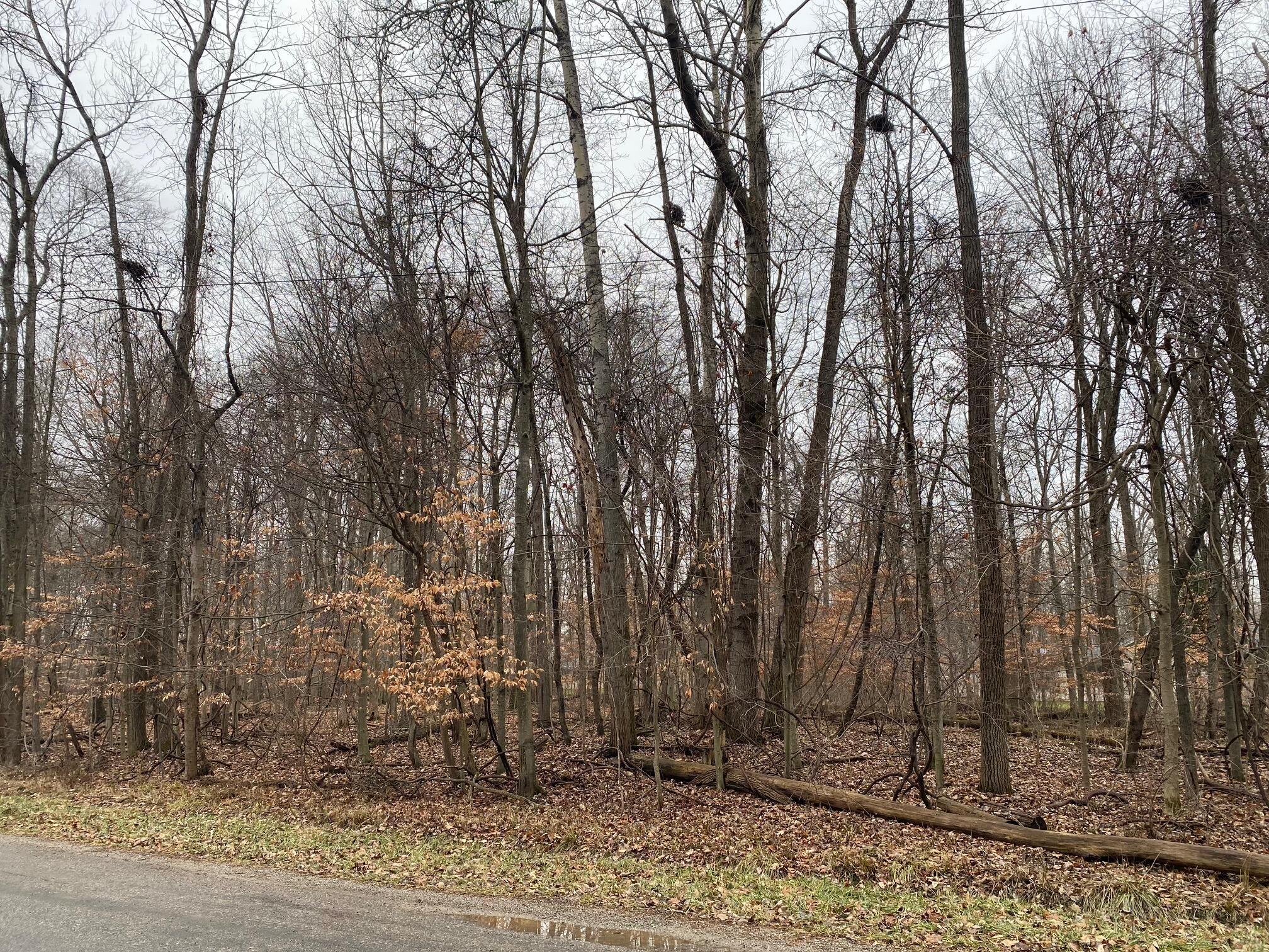 7326 State Route 19, Unit 9 Property Photo 4