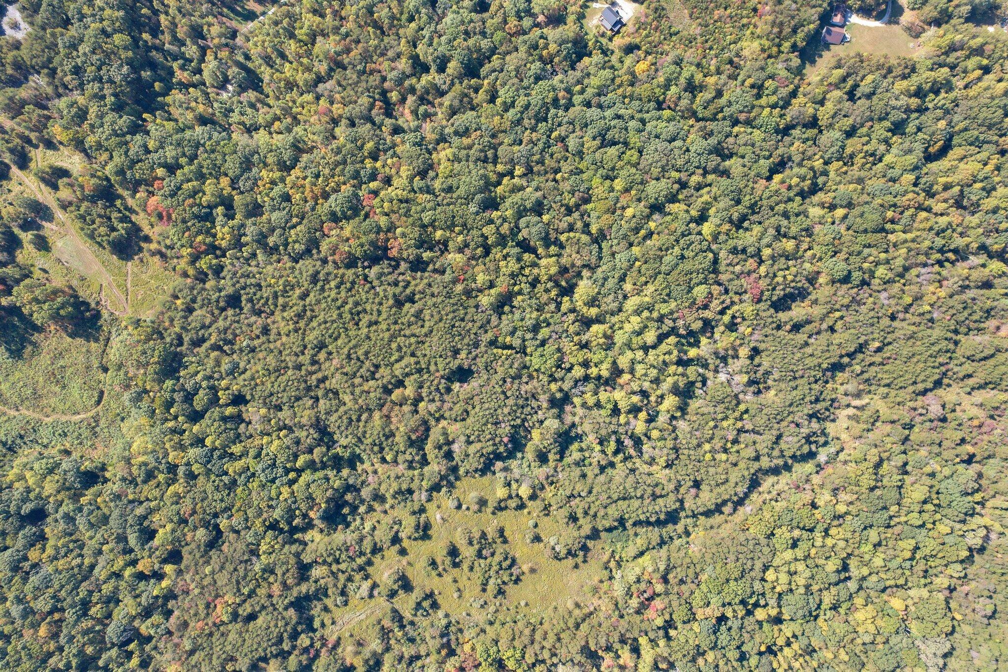 21540 State Route 93 S Property Photo 6