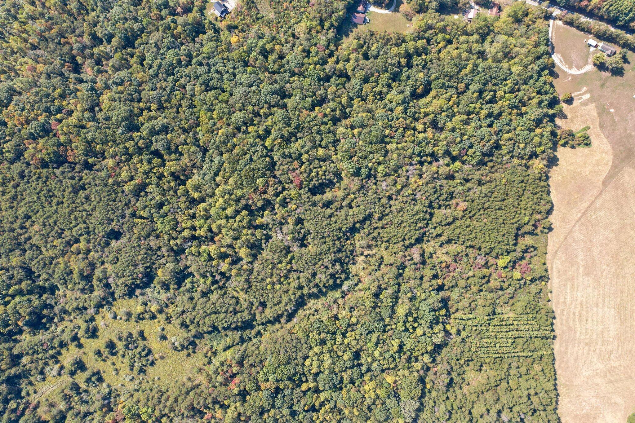 21540 State Route 93 S Property Photo 7
