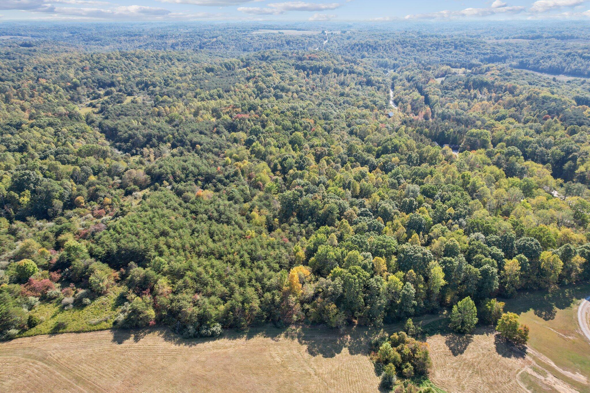 21540 State Route 93 S Property Photo 11