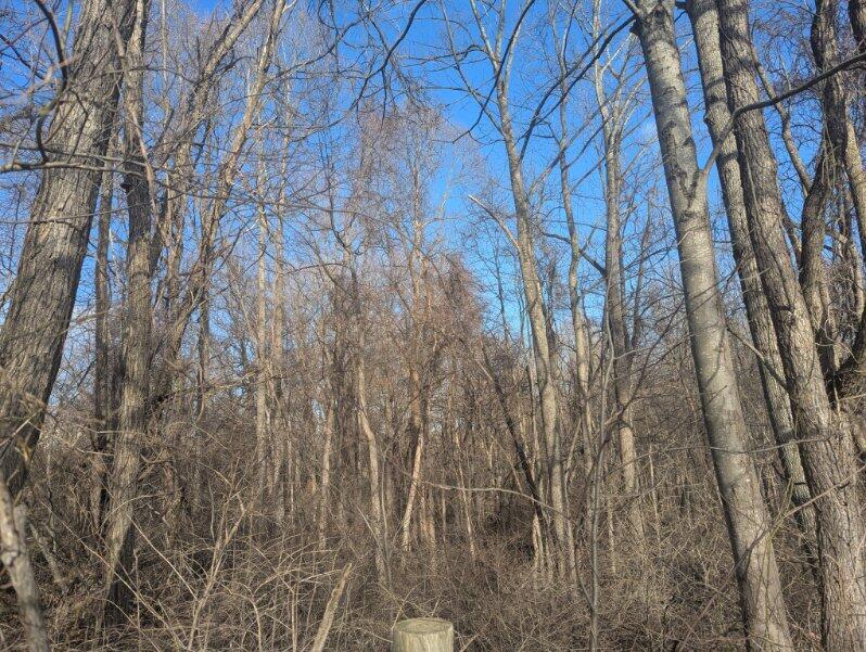 0 Township Road 215 Property Photo 1