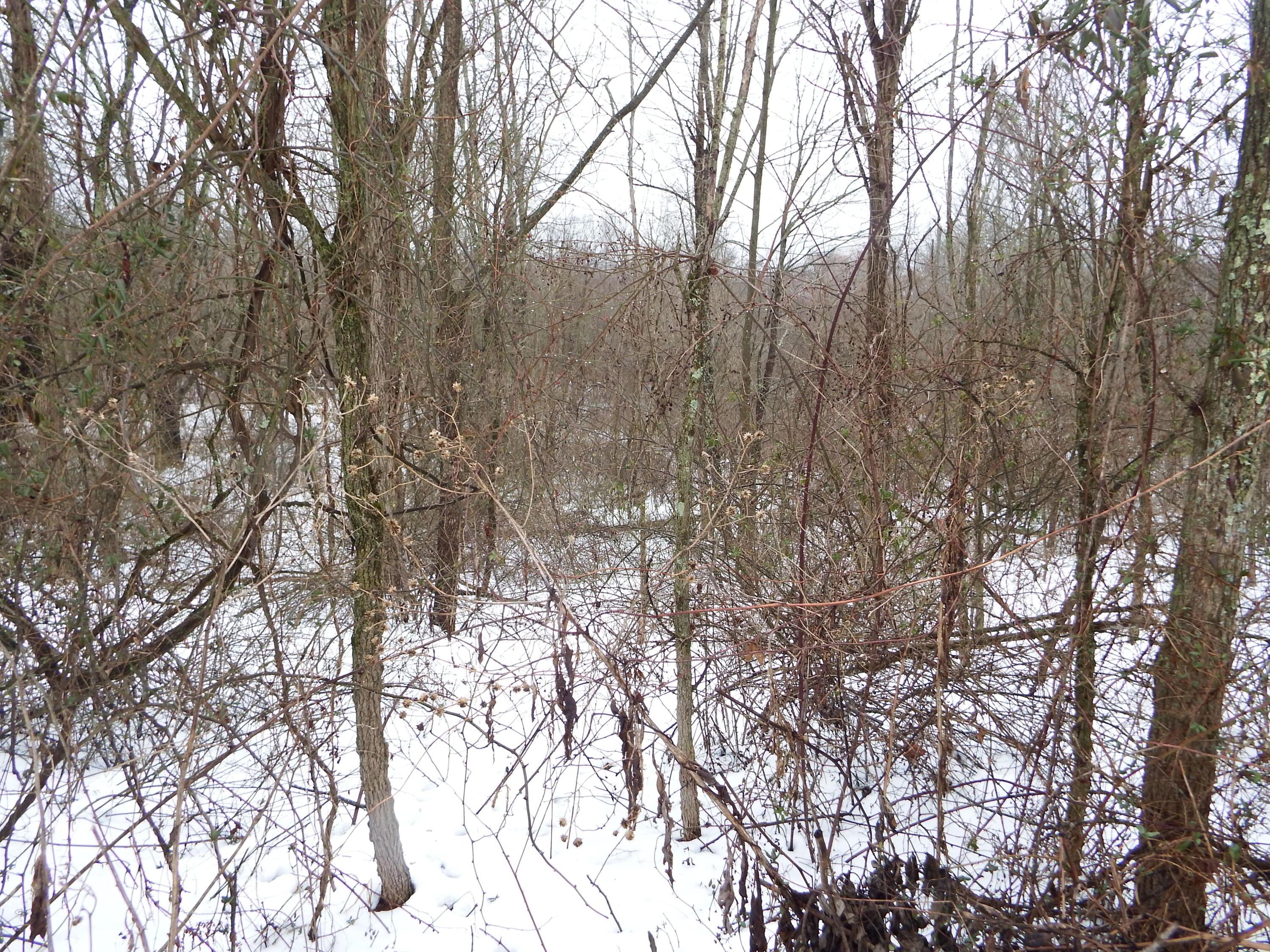 4299 County Rd 98 Property Photo 27