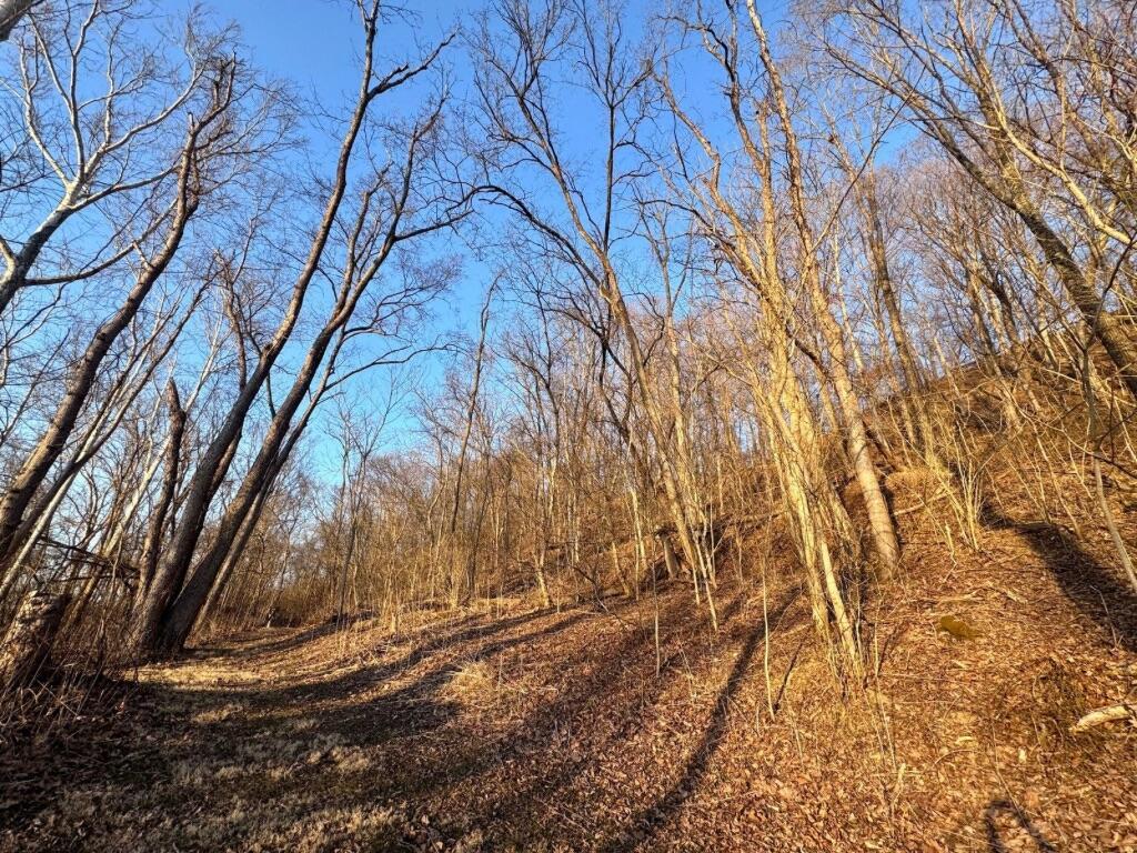 5662 N State Route 60 Nw Property Photo 24