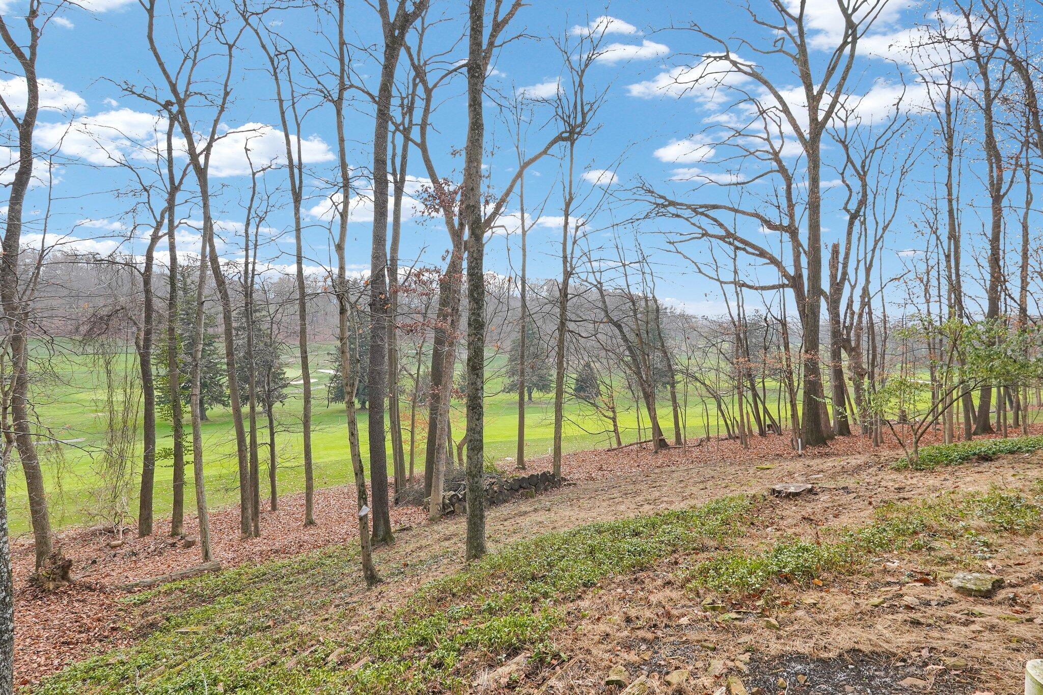 228 Pinehurst Drive Property Photo 31